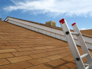 roof washing